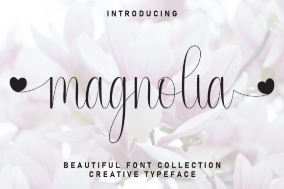 Magnolia: A Strategic Asset for Intentional Brand Storytelling