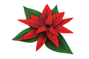 Poinsettia 3D Looking: Elevate Your Holiday Designs